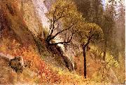 Landscape Study, Yosemite California, Albert Bierstadt